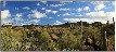 Sonoran